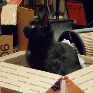 Poshmark Packaging Inspection Specialist